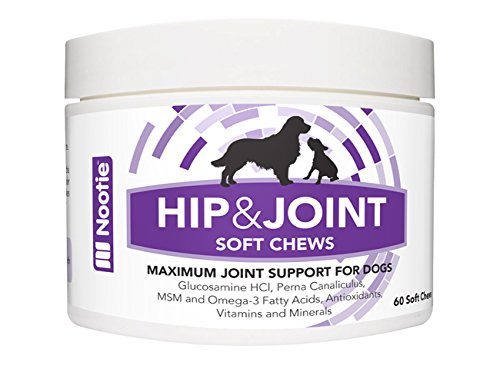 glucosamine-for-dogs-nootie