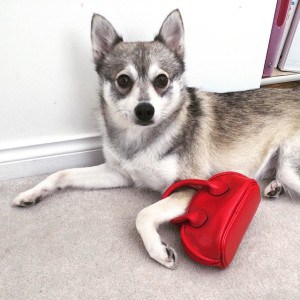 Are we going shopping yet?