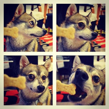 Leave it? Maybe another day