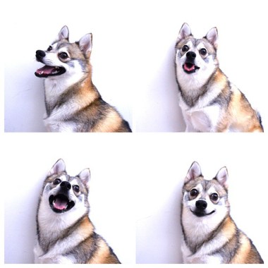 The many faces of Kobi