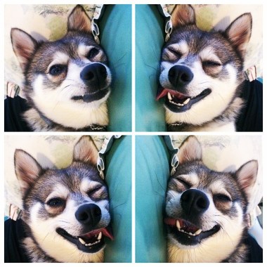 Kobi's sleeping face