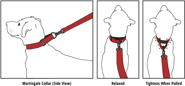 How does a Martingale collar work?