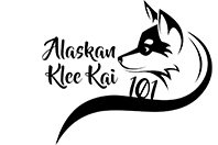 Alaskan Klee Kai 101 – Breed Information Guide